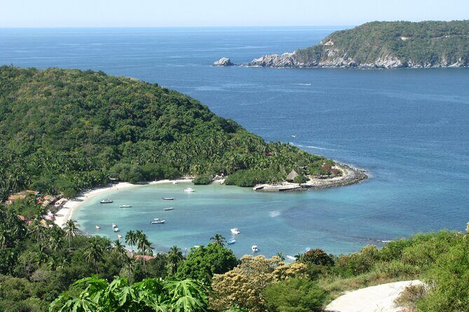 Snorkel Tour in Las Gatas Water Break - Snorkeling at Las Gatas: About 45 Minutes With Help