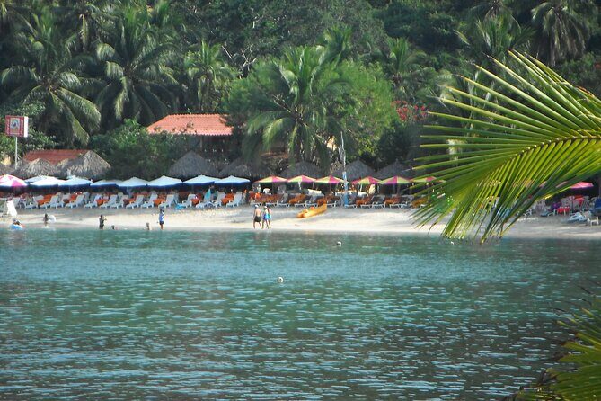 Snorkel Tour in Las Gatas Water Break - Palacio Time: Palapa Shade, Lounge Chairs, and a Slow Finish