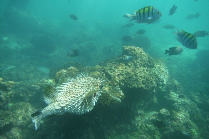 Snorkel Tour in Las Gatas Water Break - Bahia de Zihuatanejo Boat Ride: Beach Names and Water Break Stories