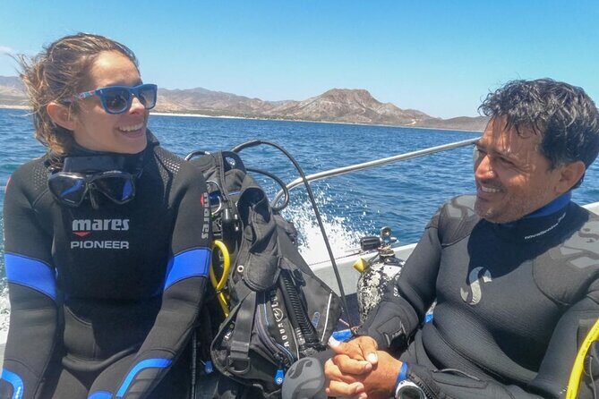 Snorkeling Adventure Cabo Pulmo - Wildlife Encounters: Gulf Grouper, Turtles, Sea Lions, and the Jellyfish Reminder