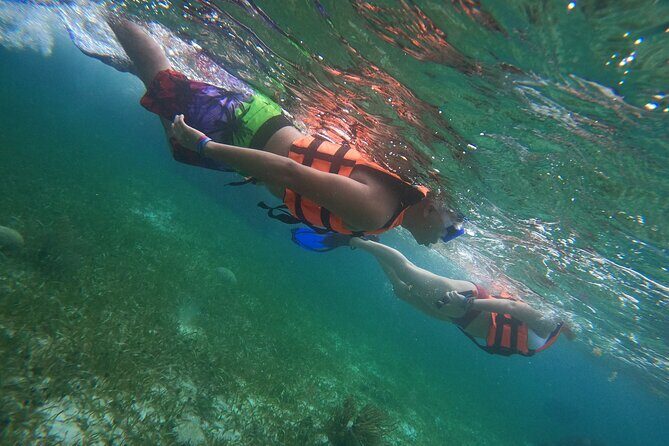 Snorkeling Adventure in Puerto Morelos Includes snack, Water and Round Trip. - The boat ride to the National Reef Park: where the magic starts