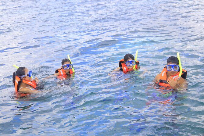 Snorkeling Adventure in Puerto Morelos Includes snack, Water and Round Trip. - Reef rules that affect what you wear and bring