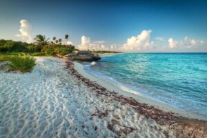 Snorkeling Adventure Tour Reef & Cenote - Meeting at Mirador Tulum and Why 8:45 am Matters
