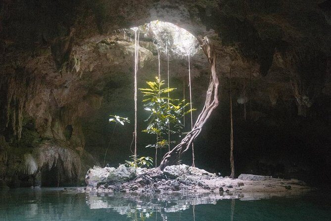 Snorkeling Adventure Tour Reef & Cenote - Stop 1: Cenotes Sac Actun and the Underground Swim Feeling