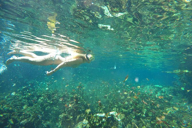 Snorkeling Adventure Tour Reef & Cenote - How the Tour Uses Cenotes Sac Actun Twice