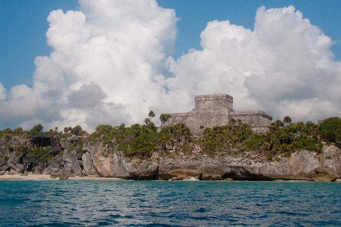 Snorkeling Adventure Tour Reef & Cenote - Wildlife Spotting: What to Look For (Without Overpromising)