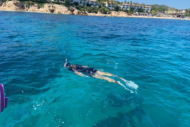Snorkeling en San José del Cabo , Lunch , Snack , Drinks - Where You Start: La Marina Inn, Gear Fitting, and a Real Safety Brief
