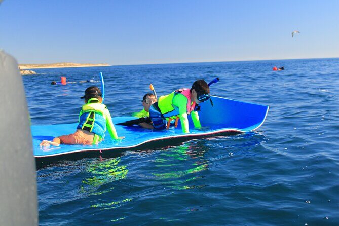 Snorkeling en San José del Cabo , Lunch , Snack , Drinks - Gear and Comfort: What to Bring So You’re Not Rushed