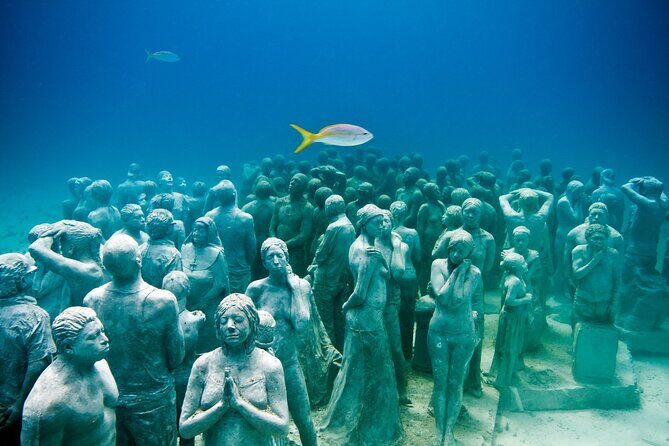 Snorkeling in Isla Mujeres and Underwater Museum - Key Points You’ll Care About