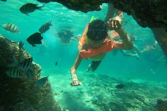 Snorkeling in Isla Mujeres and Underwater Museum - How the Lighthouse Reef–to–MUSA Route Works in Four Hours
