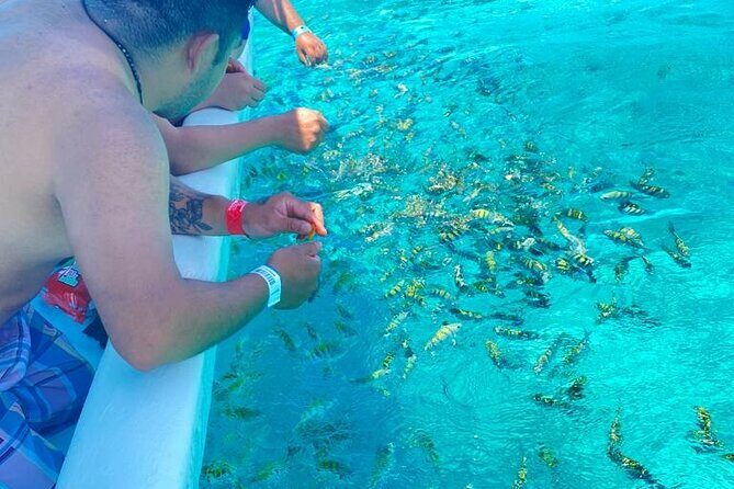 Snorkeling in Isla Mujeres and Underwater Museum - Who This Isla Mujeres Tour Fits Best