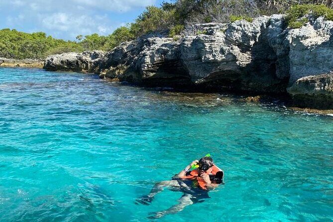 Snorkeling in Isla Mujeres and Underwater Museum - Should You Book This Tour?