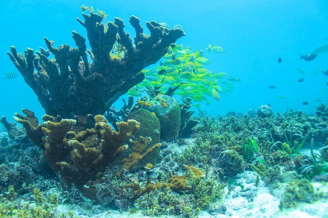Snorkeling in Isla Mujeres, Luxury Sailing- PRIVILEGE - Step-by-step itinerary: what happens on the catamaran and on Isla Mujeres