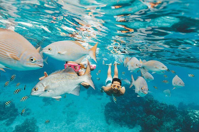 Snorkeling in Puerto Morelos - Reef rules: sunscreen, sun habits, and staying comfortable