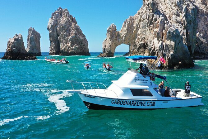 Snorkeling or Swimming with Sharks in Cabo San Lucas - Price and Value Check: What You’re Really Paying For
