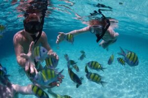 Snorkeling Tour at Land's End in Cabo San Lucas - Pelican Rock snorkeling: how to get the most out of your 45 minutes