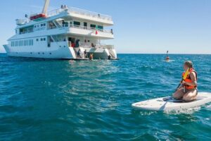 Snorkeling tour in Cabo San Lucas - The 3-Hour Flow: From Marina to Water Time (and Back Again)