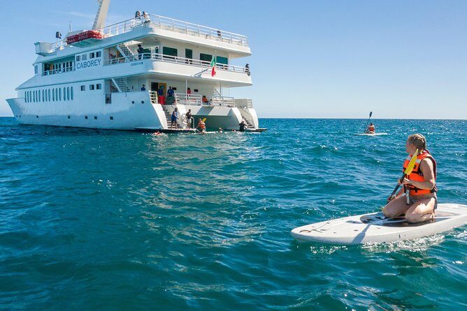Snorkeling tour in Cabo San Lucas - The 3-Hour Flow: From Marina to Water Time (and Back Again)