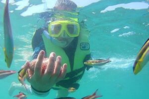 Snorkeling Tour in Ixtapa Island - Hotel pickup and the water taxi ride that changes everything