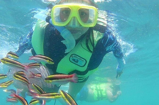 Snorkeling Tour in Ixtapa Island - Timing and flow: how the 5 hours really feels