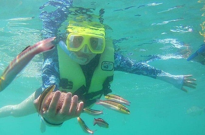 Snorkeling Tour in Ixtapa Island - Price and value: is $125 worth it?