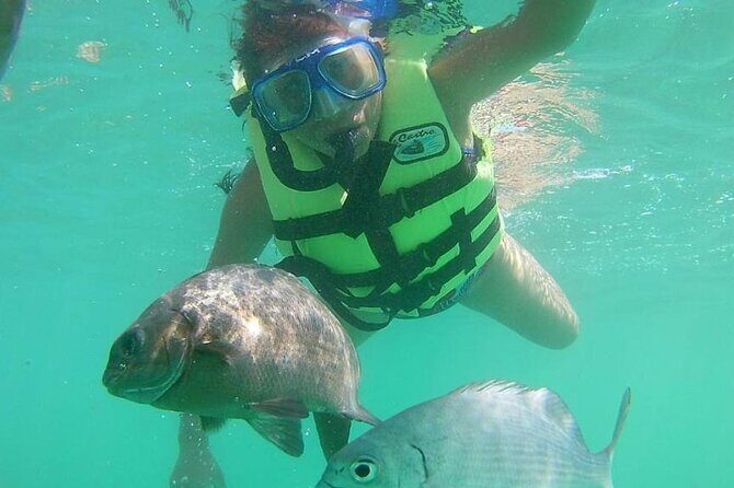 Snorkeling Tour in Ixtapa Island - Who this tour is best for (and who should skip it)