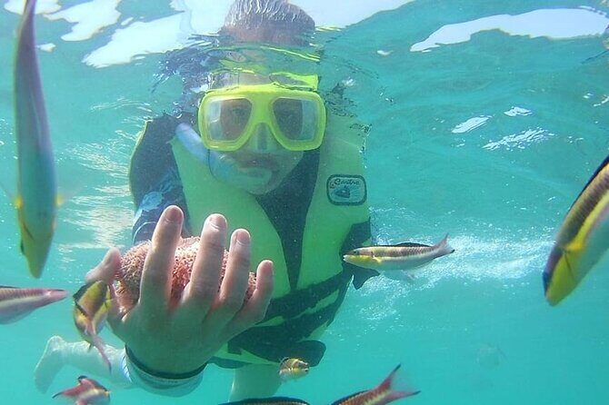 Snorkeling Tour in Ixtapa Island - Hotel pickup and the water taxi ride that changes everything