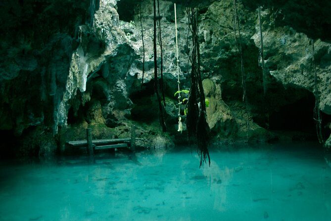 Snorkeling with Caribbean fish and private cenote exploration - What’s included in the $169 price (and why it can feel fair)