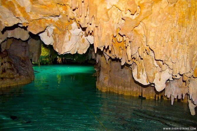 Snorkeling with Caribbean fish and private cenote exploration - Pickup, timing, and how to plan your day