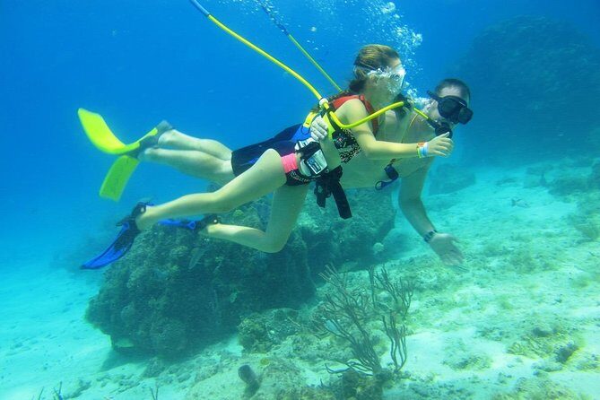 SNUBA Cozumel Underwater Adventure inside Chankanaab National Park - Price and value: $65 plus the Chankanaab cash fee