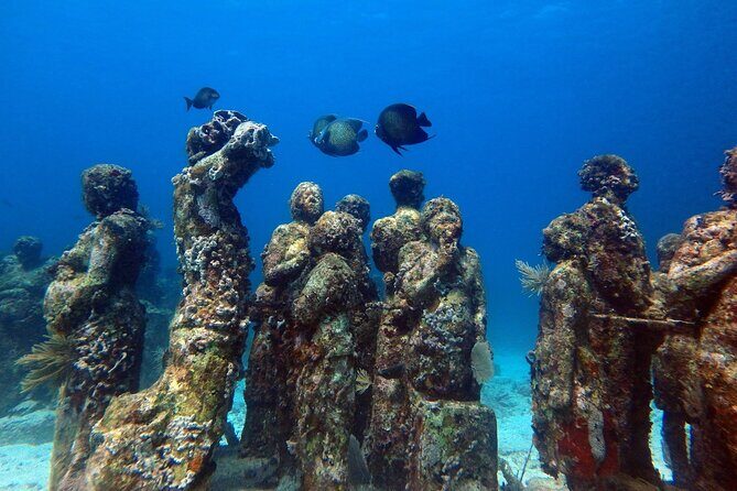 SPECIAL! Snorkel at MUSA - The Underwater Museum Reservation - Price and value: is $55 a good deal?