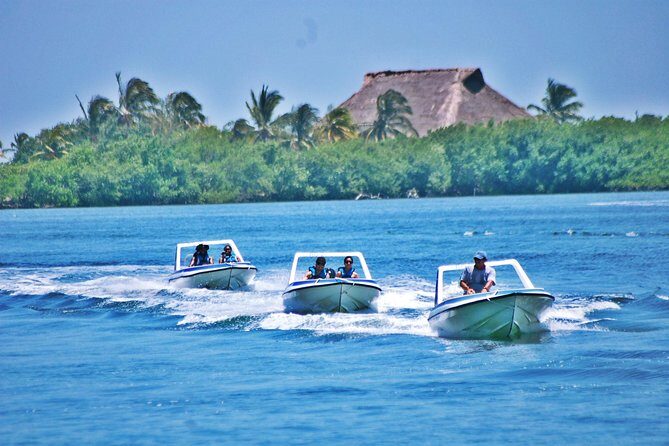 Speed Boat & Snorkel Tour with transportation ( only Cancun zone area) - Angel Reef Park snorkeling: timing, gear, and what’s included