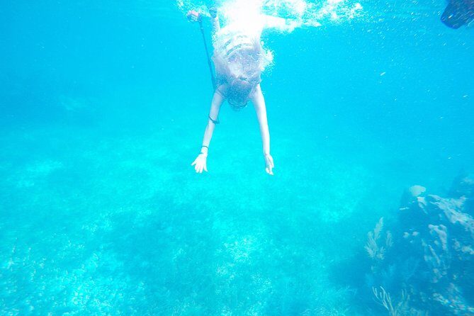 Speed Boat & Snorkel Tour with transportation ( only Cancun zone area) - What you’ll likely see underwater at Angel Reef