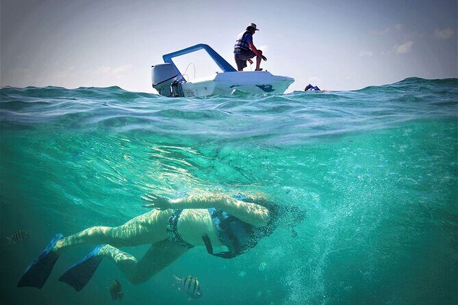 Speed Boat & Snorkel Tour with transportation ( only Cancun zone area) - Price and extras: how the $59.99 becomes a full cost
