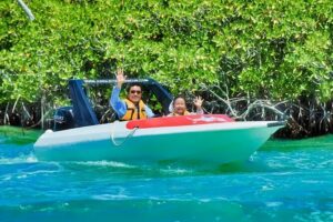 Speedboat across the Mangroves & Snorkel with Jet Ski Rental - Getting to Puerto Maya: close to the action, but no hotel pickup