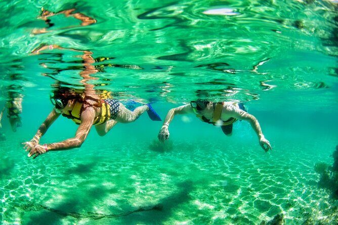 Speedboat across the Mangroves & Snorkel with Jet Ski Rental - MUSA underwater museum: what you’re really paying for during snorkeling