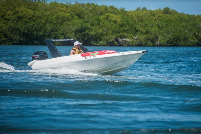Speedboat and snorkel tour: Single Passenger Boat - Key Points You’ll Care About