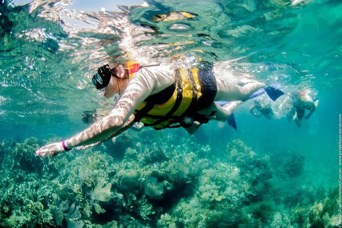 Speedboat and snorkel tour: Single Passenger Boat - Stop: Snorkeling Coral Reefs and the Cancun Underwater Museum