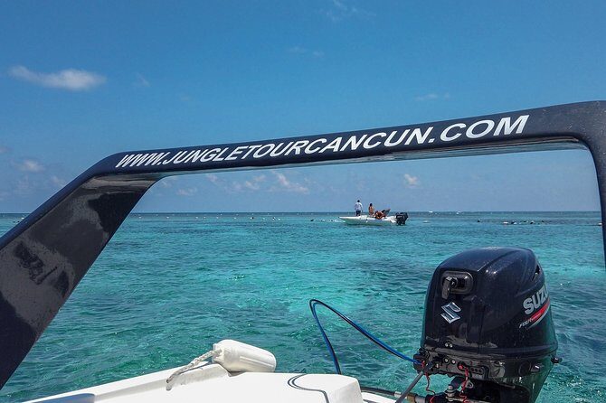 Speedboat and snorkel tour: Single Passenger Boat - Price and Value: $110 Plus the $20 Cash Dock Fee