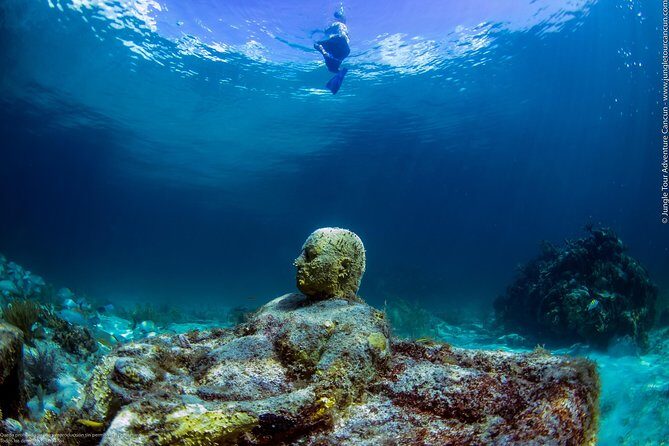 Speedboat and snorkel tour: Single Passenger Boat - What to Bring and How to Stay Comfortable