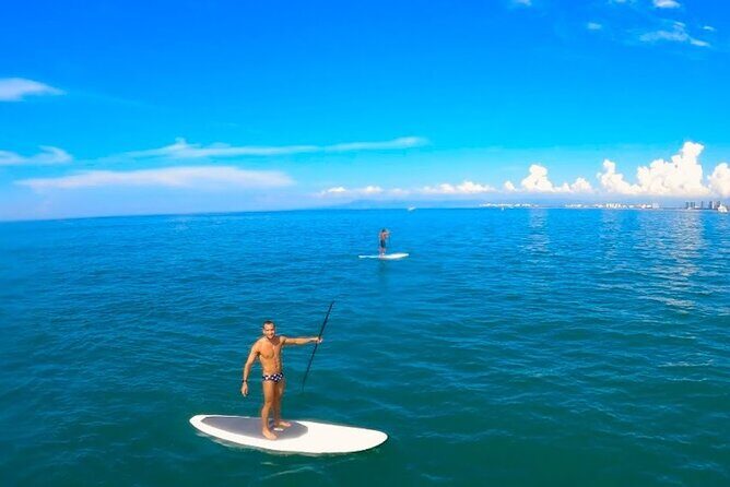 Stand Up Paddle Boarding Adventure in Puerto Vallarta - Wildlife spotting: birds, turtles, manta rays, dolphins, and more