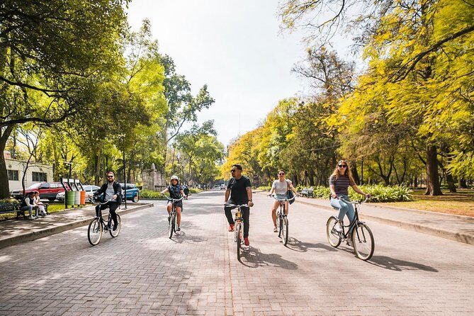 Street Food Bike Tour / Mexico is not only Tacos / All Inclusive - Condesa tacos and the park-prep vibe