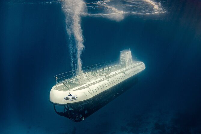 Submarine Atlantis Cozumel Adventure by Day & Sunset - Chankanaab Reef from 100 feet: the protected-park experience