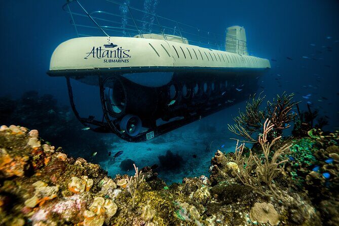 Submarine Atlantis Cozumel Adventure by Day & Sunset - Felipe Xicoténcatl: the sunken ship turned artificial reef