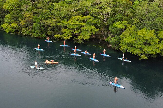 Sunrise by Paddle or Kayak with Floating Picnic - Bird Sanctuary and Floating Picnic: Breakfast With a Soundtrack