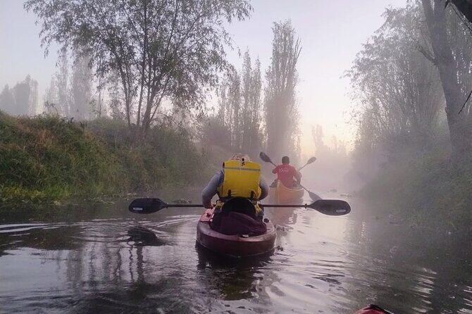 Sunrise Kayak Tour in Xochimilco - Why Kayak at Sunrise in Xochimilco Works So Well