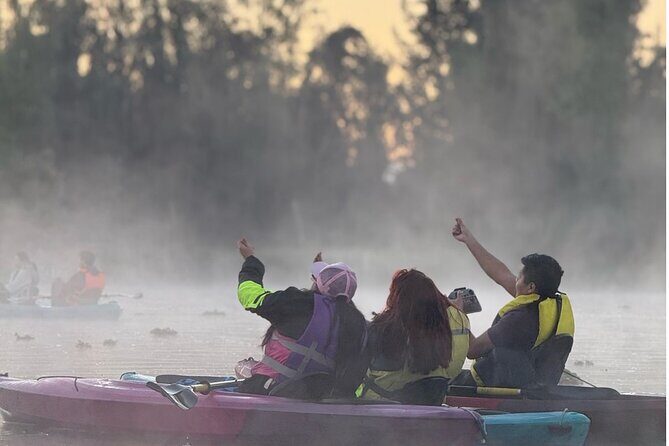 Sunrise Kayak Tour in Xochimilco - Price, Timing, and What You’re Really Getting for $28.68