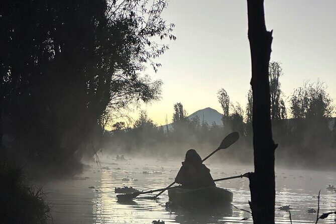 Sunrise Kayak Tour in Xochimilco - Who Should Book This Sunrise Kayak Tour in Xochimilco?