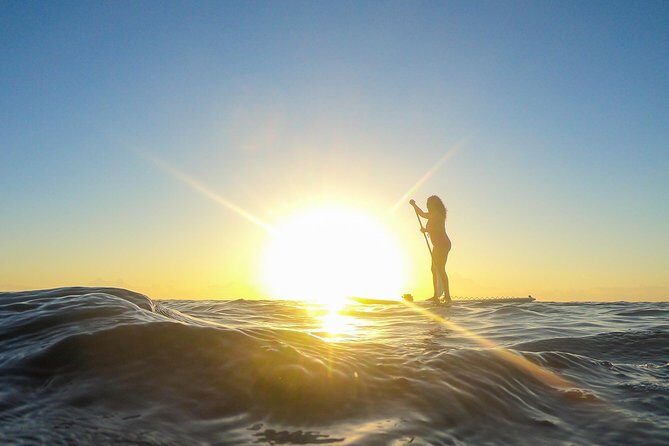 Sunrise Session - The #1 Paddleboard Tour On The Caribbean Sea - The 2-Hour Flow: What Happens From First Light to Back on Shore