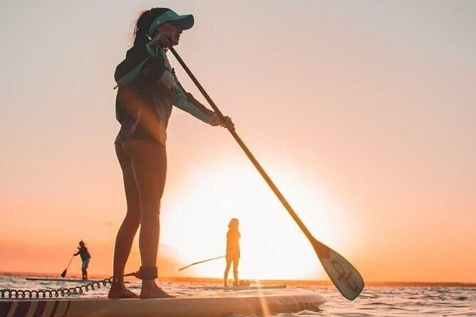 Sunrise Tour (Stand Up Paddle or Kayak) - Pirate Channel: where the lagoon gets character